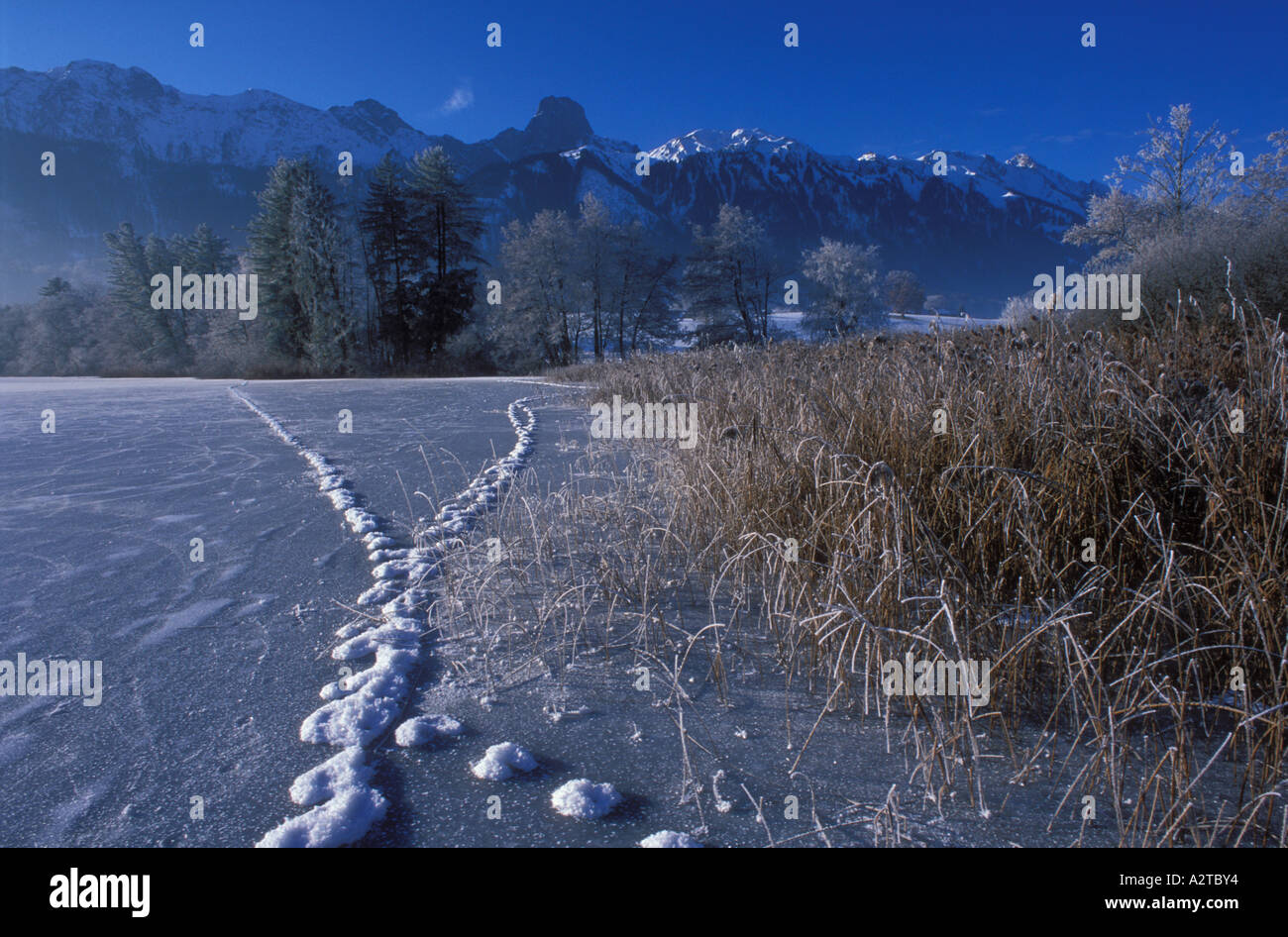 Frost bedeckt Tierspuren auf dem Eis der zugefrorenen See Amsoldingen, Stockhorn Bergkette im Rücken, Berner Alpen der Schweiz Stockfoto