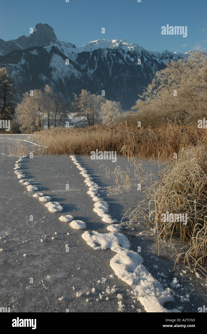 Frost bedeckt Tierspuren auf zugefrorenen See, Mt. Stockhorn, Berner Alpen, Schweiz Stockfoto