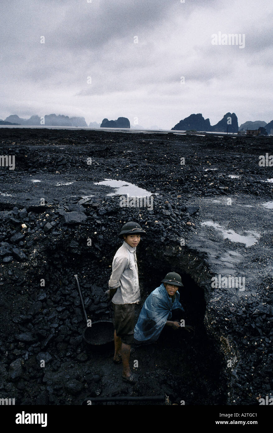 Schwarzgold Vietnams Aufräumvorgang Meer Kohlenbergwerk von lokalen Arbeitslosen Familien verdienen ein paar Dollar für Schwerstarbeit Sortierung Bits von Kohle aus der Schlacke Cam pha 1993 Stockfoto