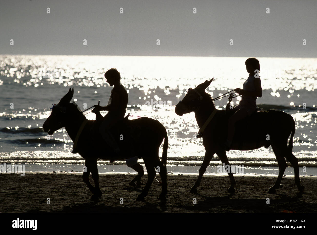 Blackpool Esel reiten am Strand Stockfoto