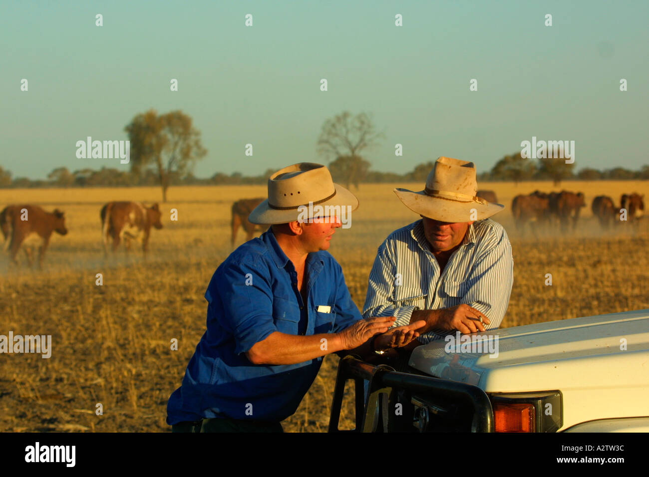 Australische Farmer Stockfoto