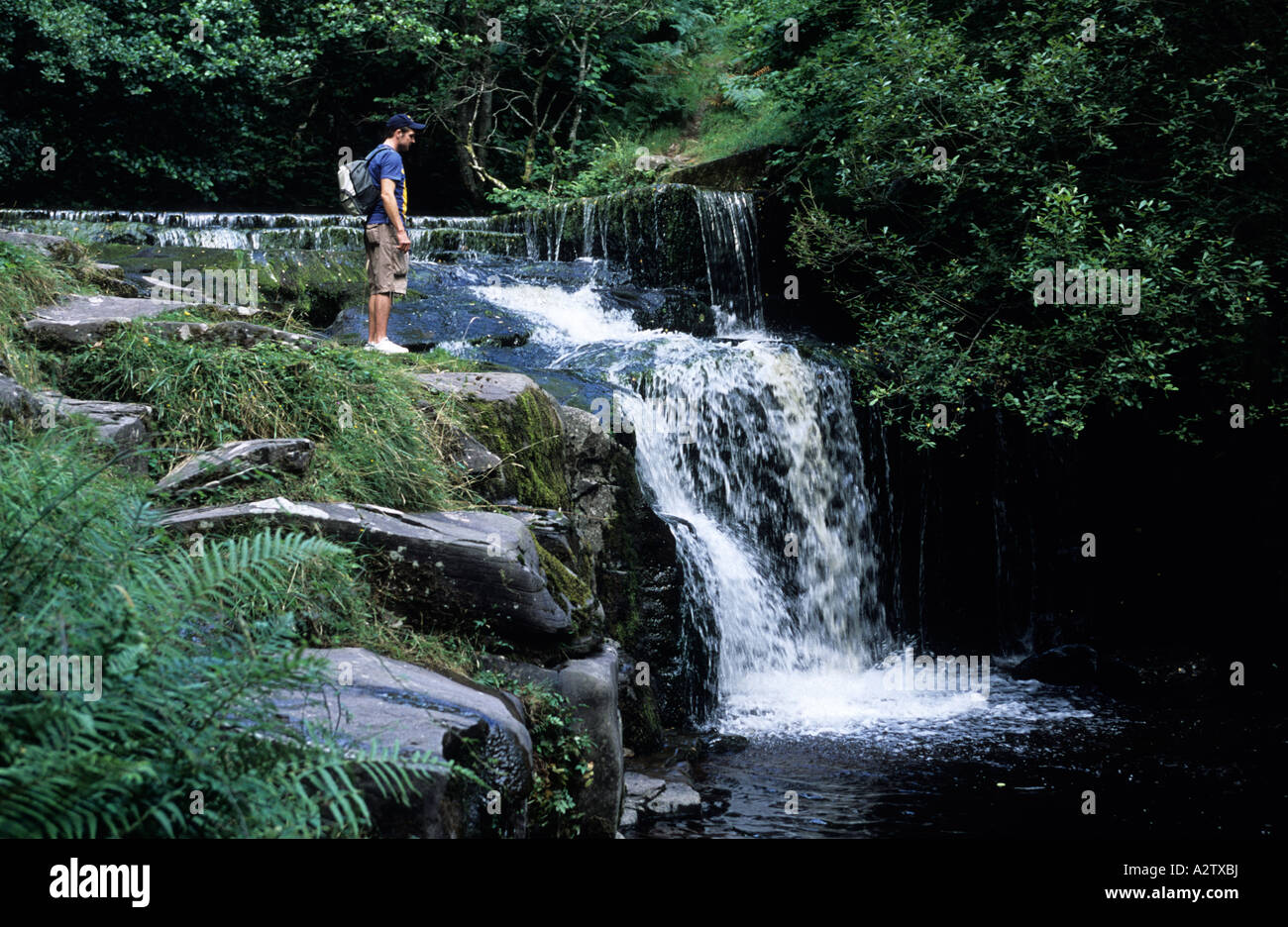 Tourist am Blaen-y-Glyn Wasserfälle, Brecon Beacons National Park, Powys, Wales, GB Stockfoto