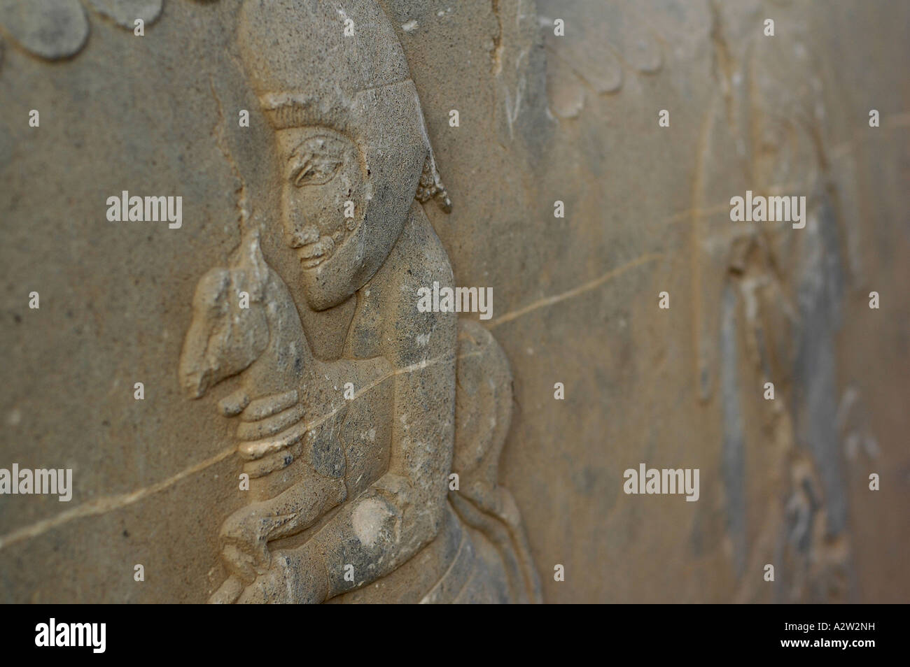 Bas-Relief einer ausländischen Delegation in der Persepolis archäologische Stätte, in der Nähe von Shiraz, Iran ein Perserkönig Geschenke bringen. Stockfoto