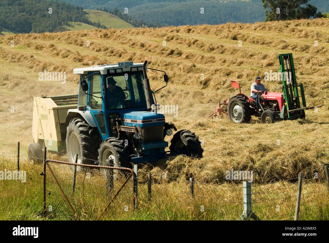 Mähen Heu in das Huon Valley Tasmanien Stockfoto