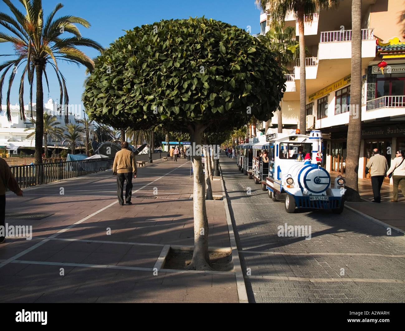 Winter Tageslicht an Bäumen gesäumten Strandpromenade in Marbella-Andalusien-Spanien mit touristischen Straße Zug Stockfoto