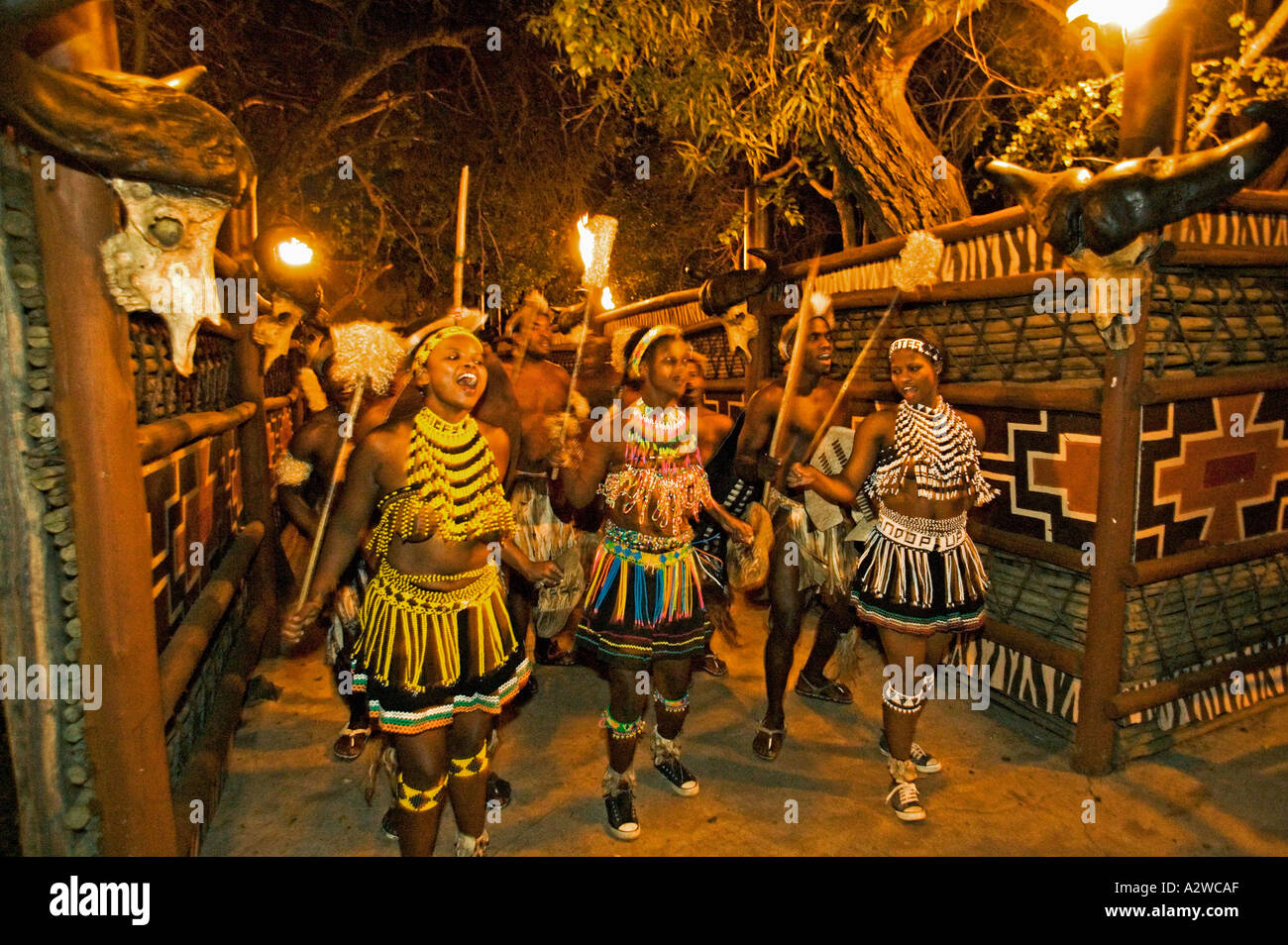 Zulu Frau tanzt im Kostüm von Zulu Maid Outfit gemacht von Perlen Kostüm getragen während tanzen Zeremonien Südafrika Stockfoto