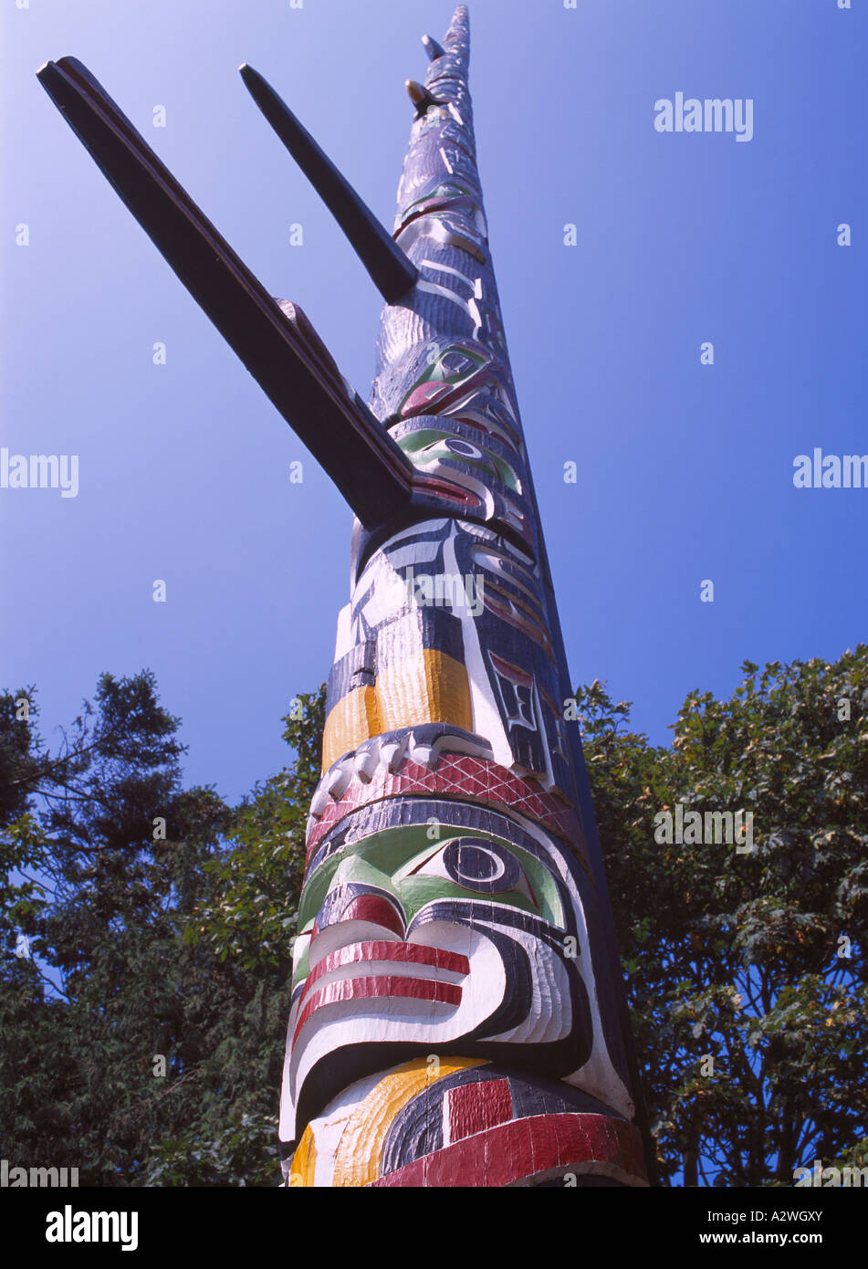 Kwakwaka (Kwakiutl) Totempfahl, Beacon Hill Park, Victoria, BC, Britisch-Kolumbien, Kanada, Vancouver Island, das weltweit höchste Stockfoto