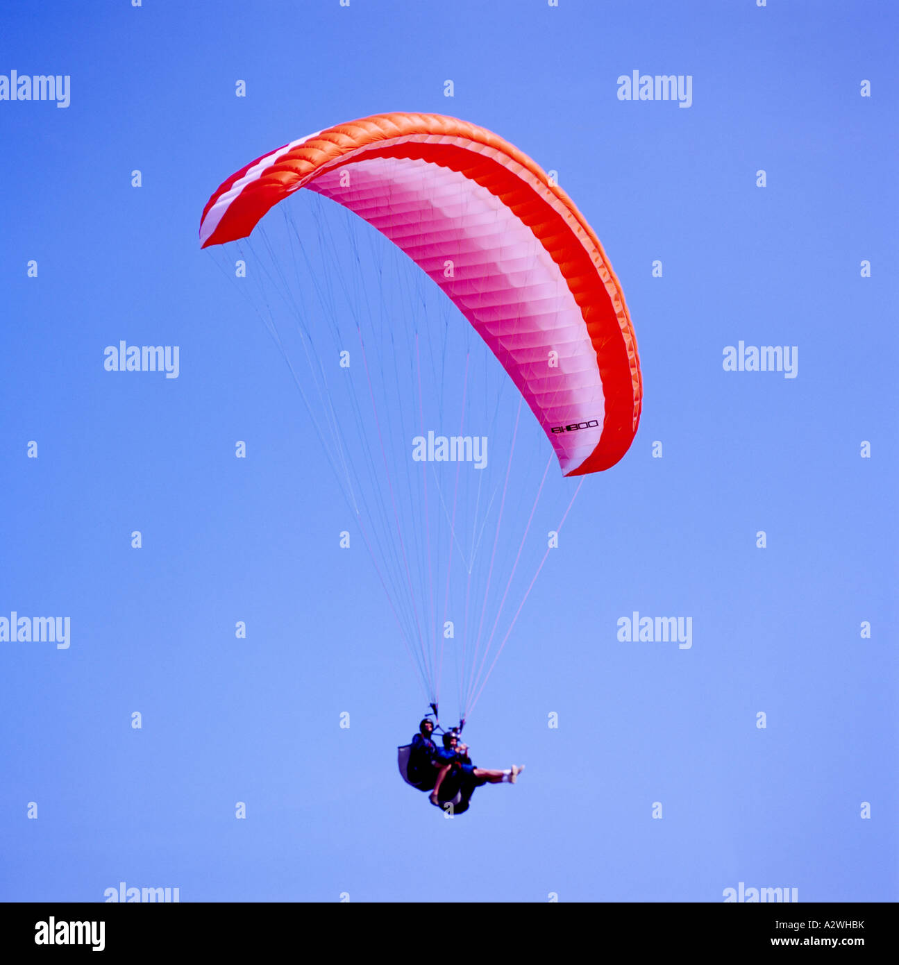 Gleitschirm-Paragliding Tandem in der Nähe von Clover Point, Victoria, BC, Vancouver Island, British Columbia, Kanada Stockfoto