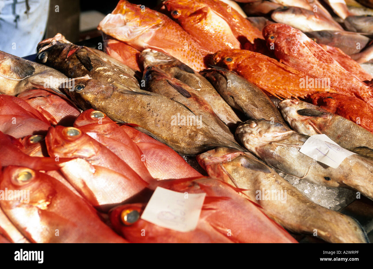 Madeira-Blick auf Funchal Tagesmarkt Stockfoto
