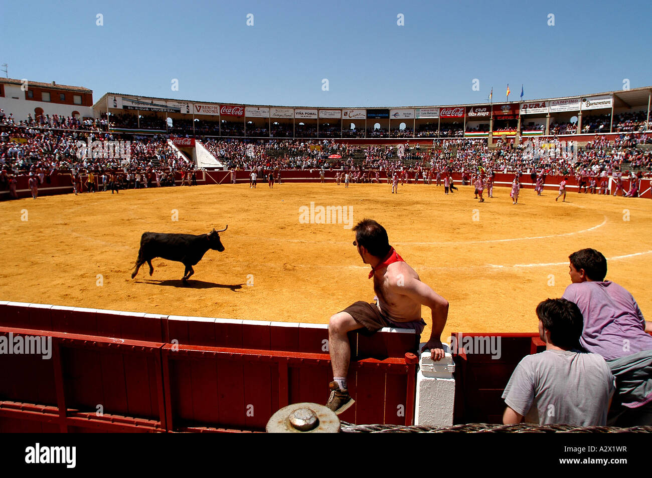 Schlacht von Wein, Weinfestival Haro, Spanien Stockfoto