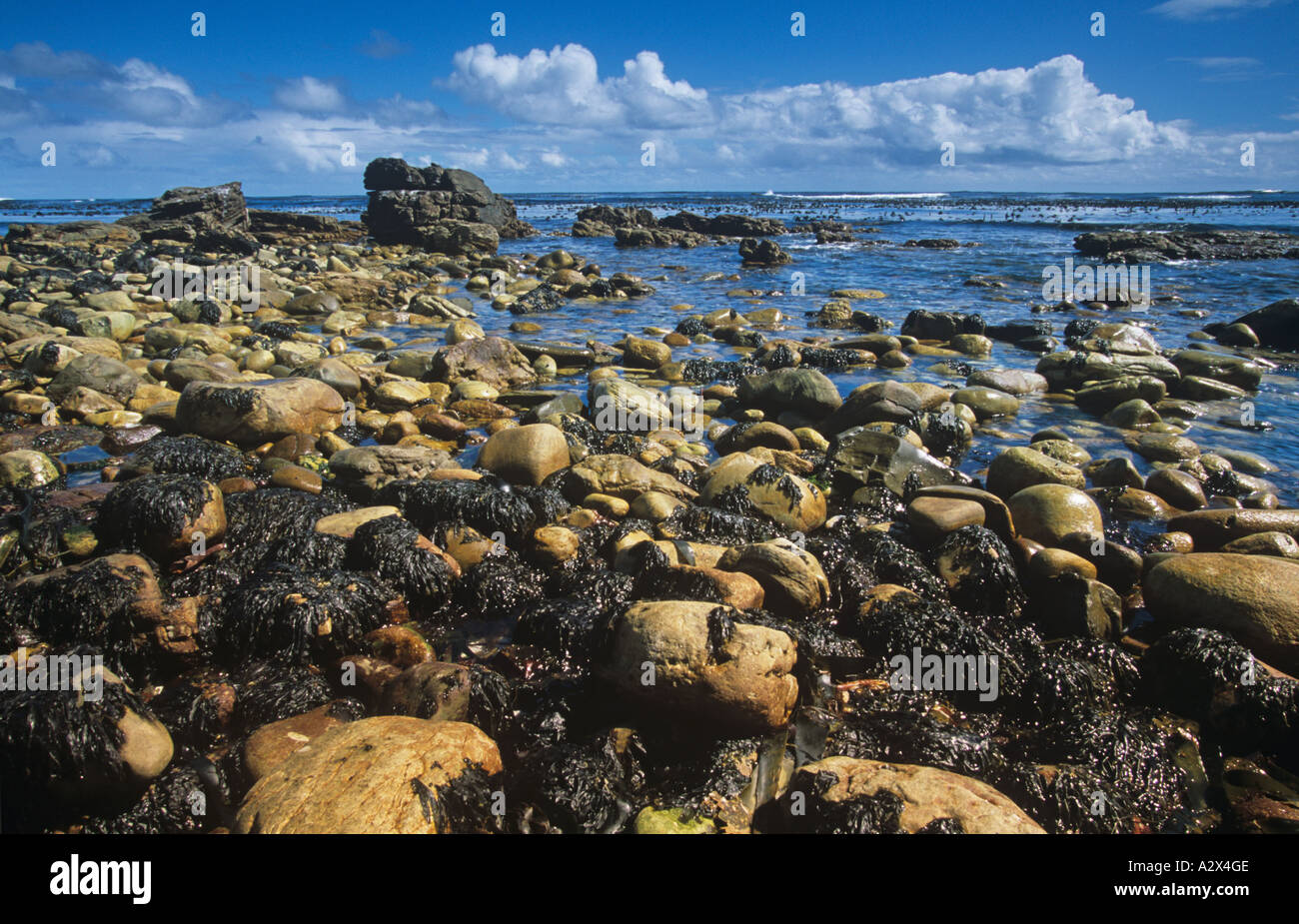 Strand & Atlantic Kap der guten Hoffnung in Südafrika Stockfoto