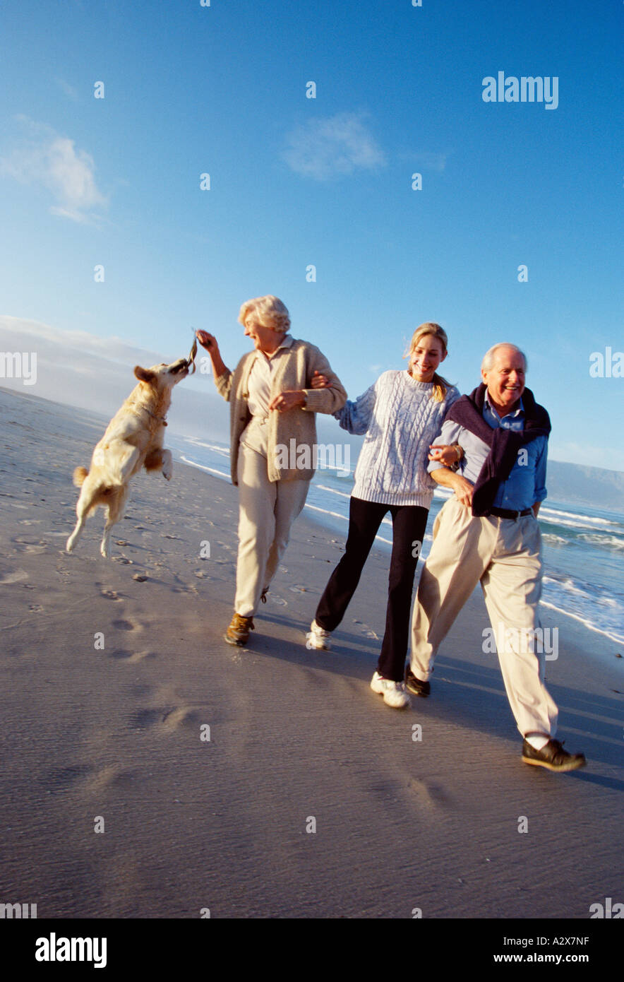 Ältere Familie ihre Labrador Hund am Strand spazieren gehen. Stockfoto