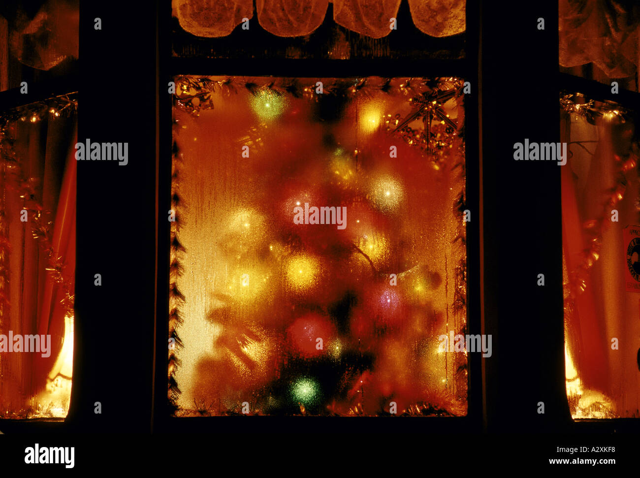 Weihnachtsbaum hinter gedämpft, Fenster-blackpool Stockfoto