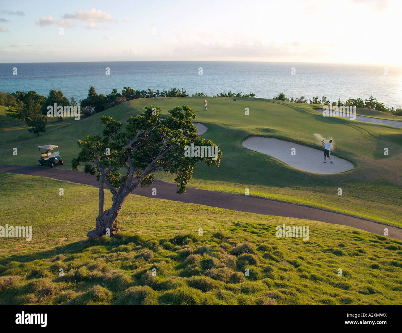 Trifft der Ball aus dem Sandfang auf Bermuda Golfplatz Stockfoto