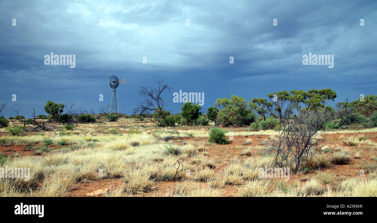 Outback / Busch in der Nähe von Alice Springs Northern Territory Australien Stockfoto