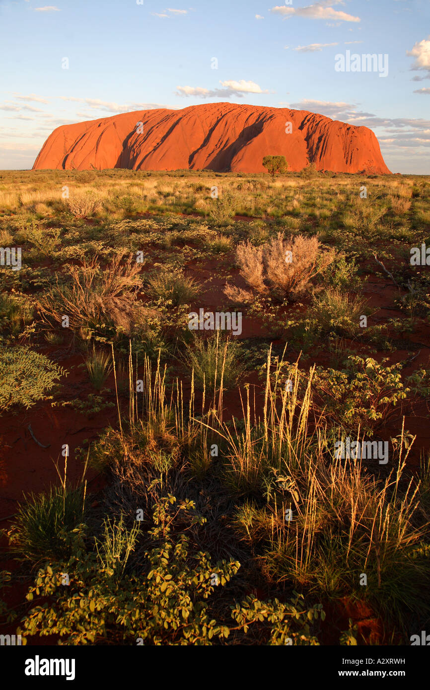 Ayers Rock - Uluru - Northern Territory - Australien Stockfoto