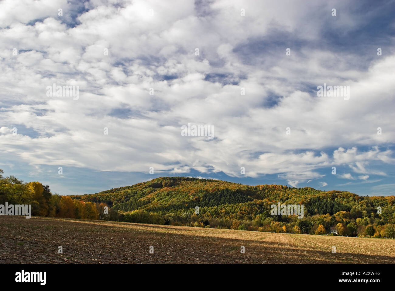 Landschaft mit Feld und Hügel während Herbstimpressionen in Bad Honnef und Kloster Heiterbach Deutschland Stockfoto