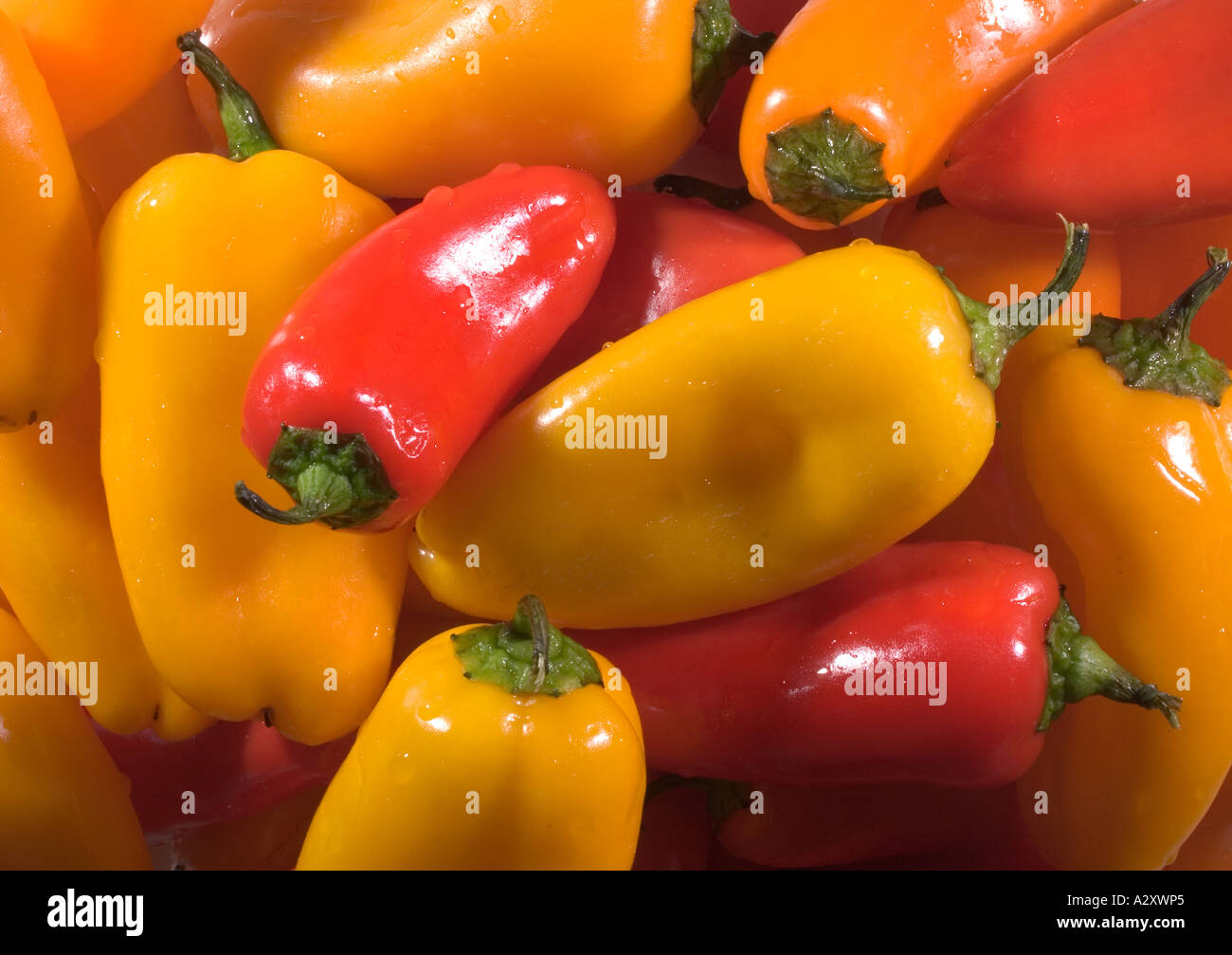 Mini süße Paprika-Makro Stockfoto