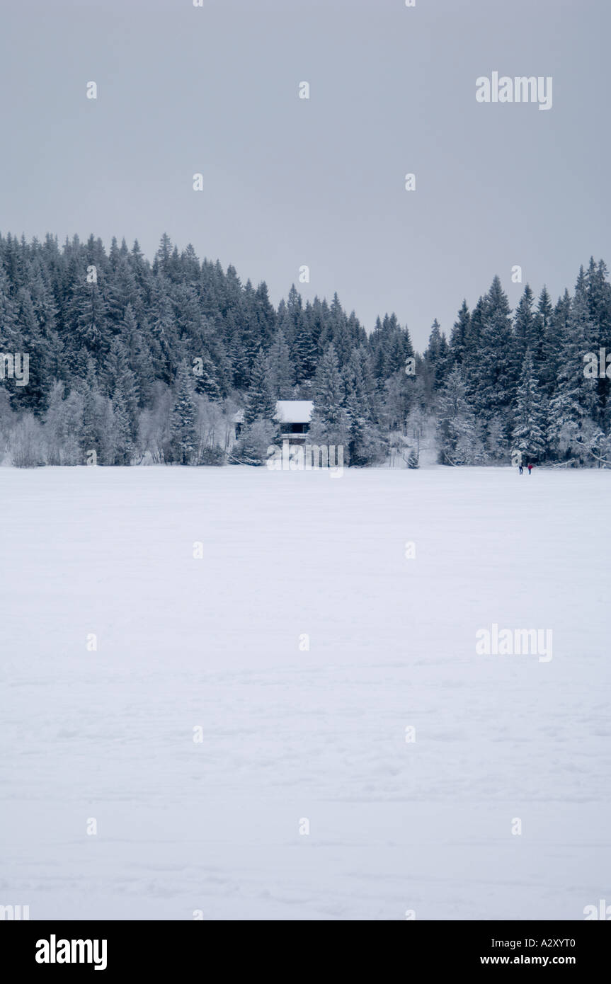 Verschneite Szene von little House unter die Weihnachtsbäume in den Hügeln oberhalb von Oslo, Norwegen. Stockfoto