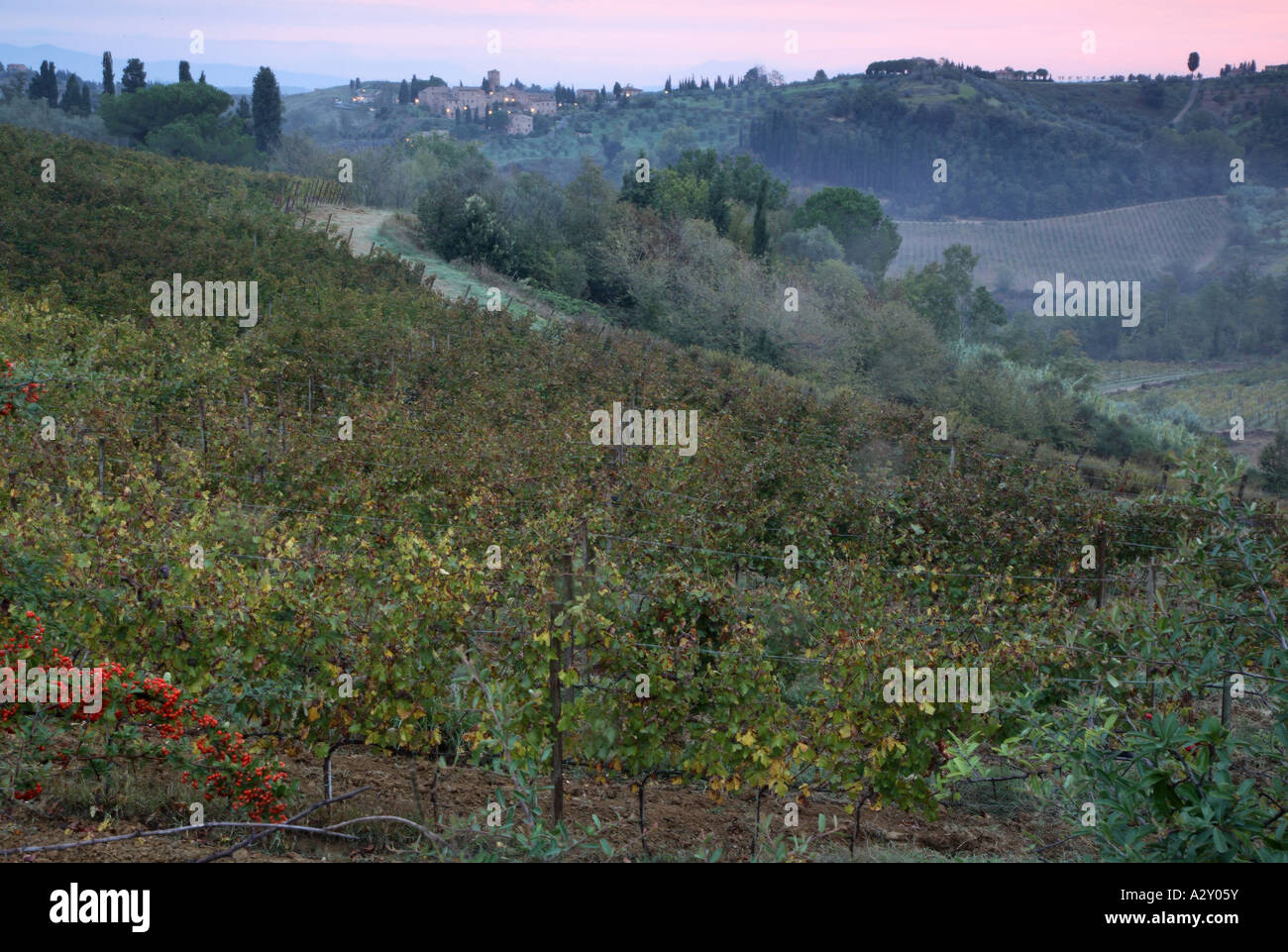 Ende Oktober kurz nach Sonnenaufgang in der Nähe Castelfalfi aufgenommen. Stockfoto