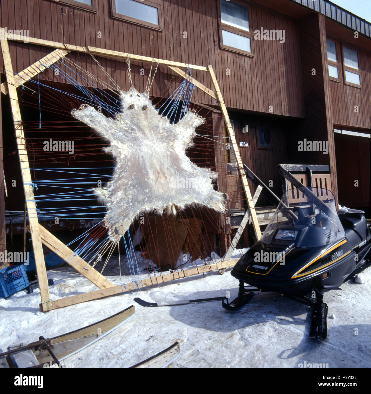 Tragen Sie Haut trocknen auf Frame Nunavut Stockfoto