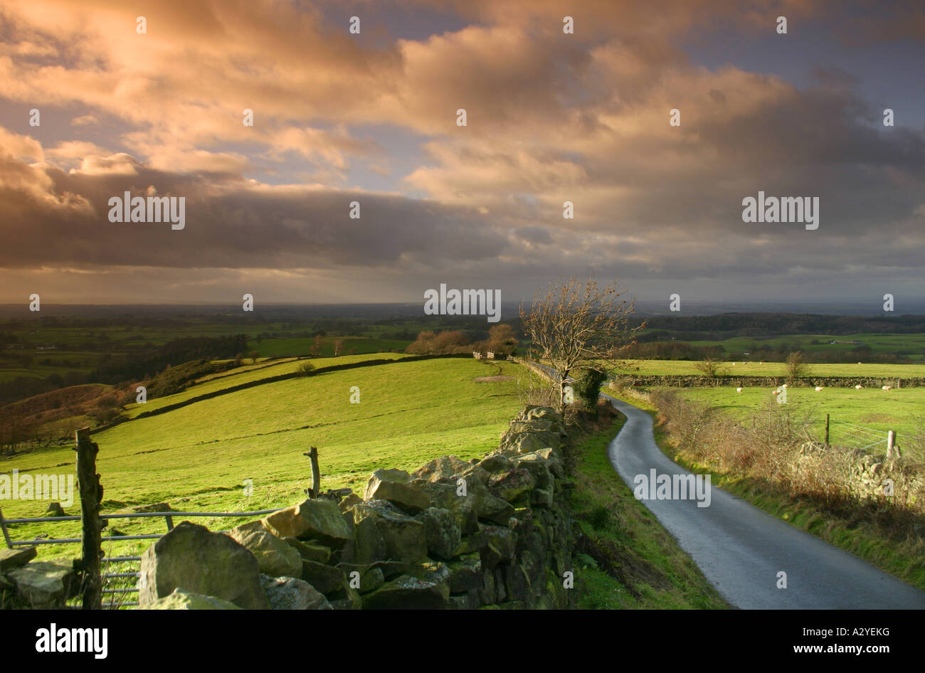 Die Straße über Talkin fiel am nördlichen Ende der North Pennines Gebiet von außergewöhnlicher natürlicher Schönheit, Cumbria Stockfoto