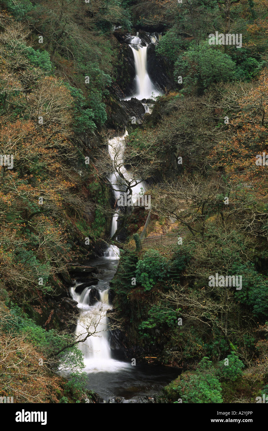 Barke fällt, Teufels-Brücke, Ceredigion, Wales, UK. Die Barke Fluss fällt 100 m in die Schlucht Rheidol. Stockfoto