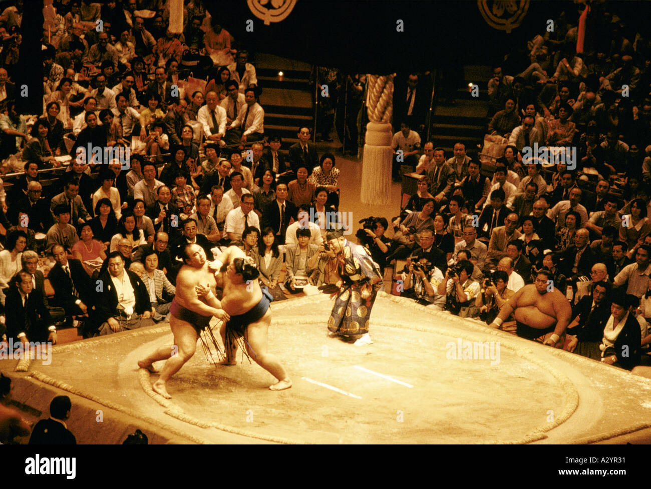 sitzende Zuschauer Sumo-ringen Kampf japan Stockfoto