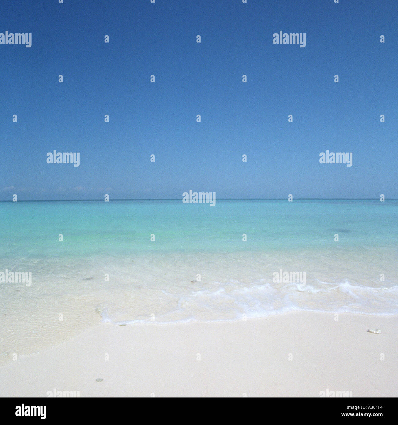 Belize Strand weißen Sand, türkisfarbenes Wasser und blauer Himmel Stockfoto