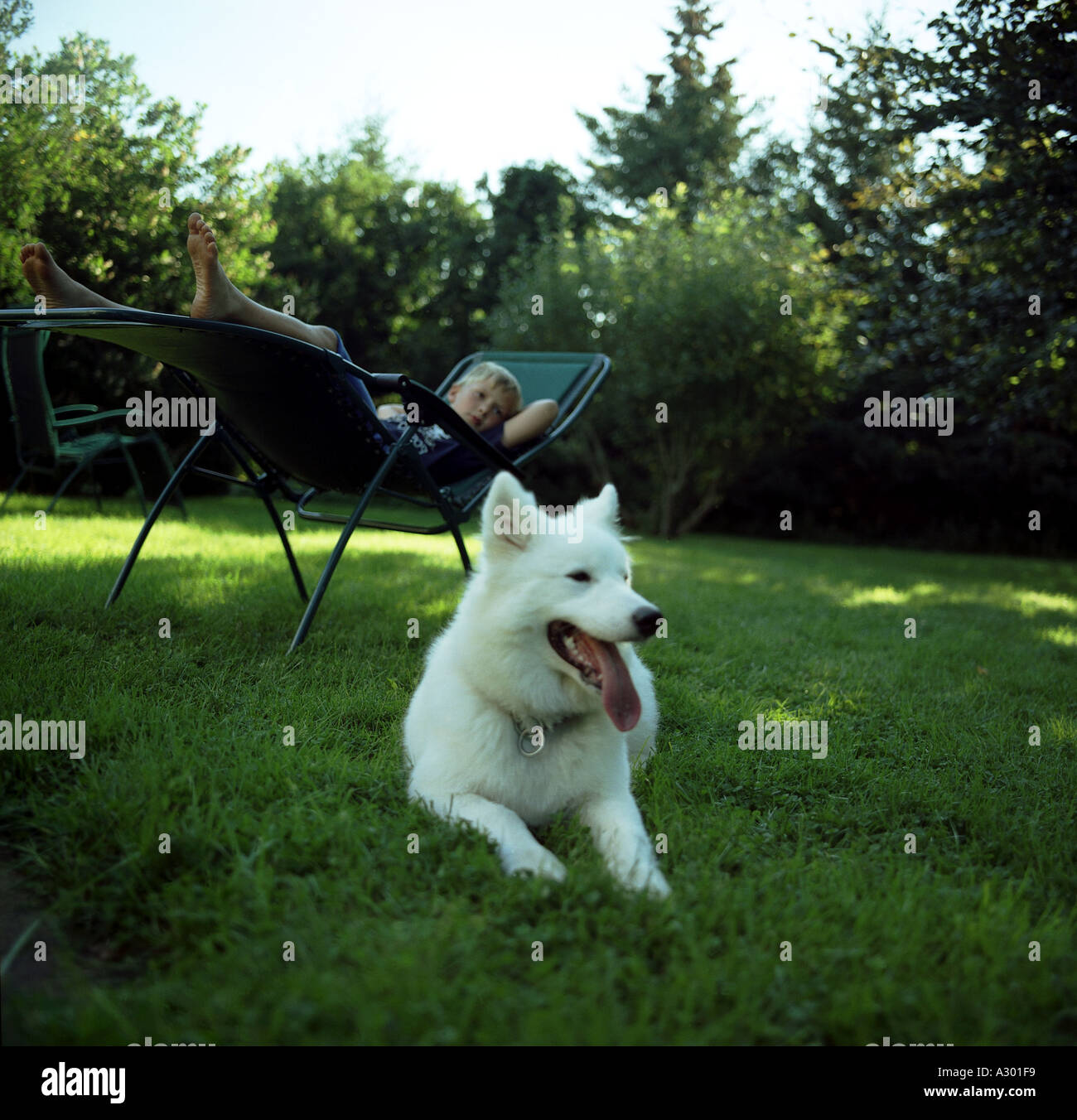 Junge und Hund im Garten Copyright Nina Büsing Stockfoto