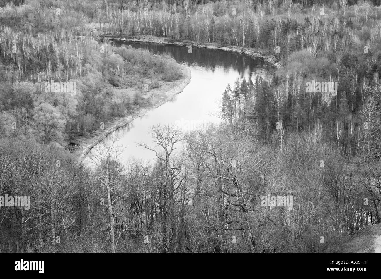 Gauja Fluss schlängelt sich durch Wald Sigulda Lettland Stockfoto