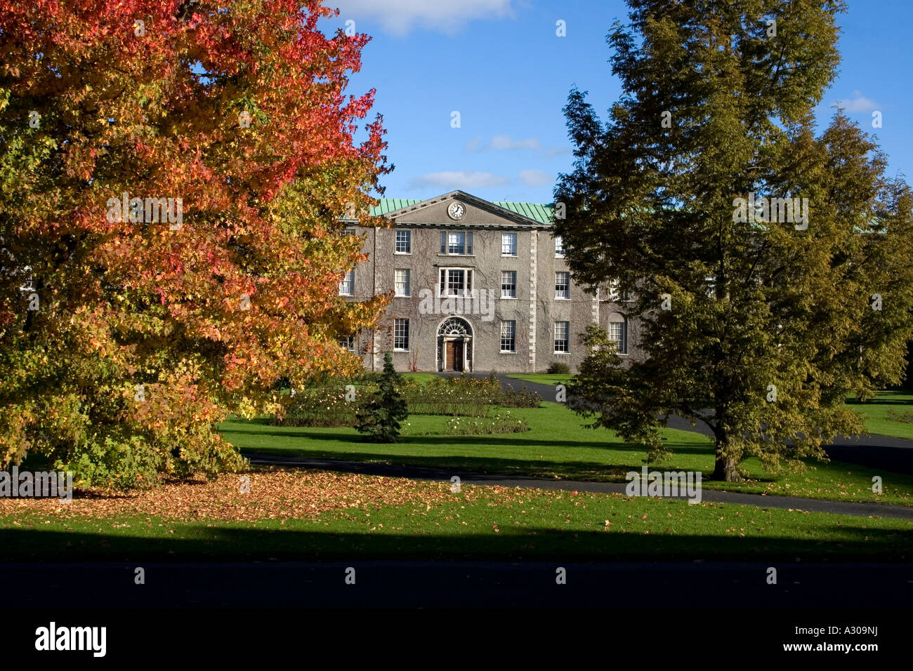 Außenseite des Maynooth College durch Bäume gesehen Stockfoto