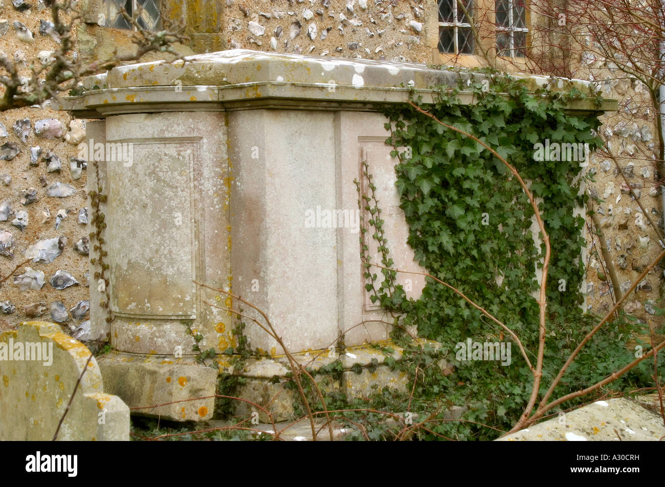 Altes Efeu verkleidetes Steinbestattung. Stockfoto