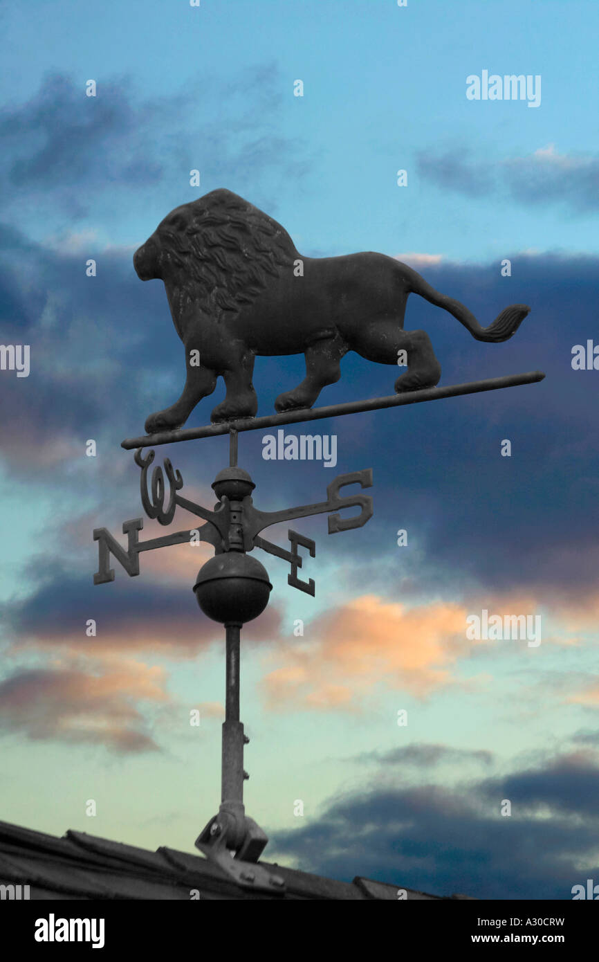 Wetterfahne in Form eines Löwen gegen dunklen Gewitterhimmel Stockfoto
