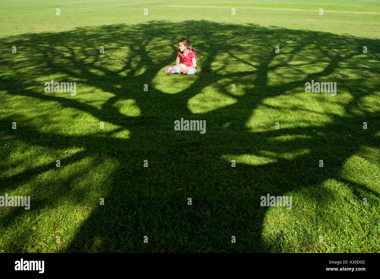 Junges Mädchen (7-9) saß im Schatten eines Baumes Stockfoto
