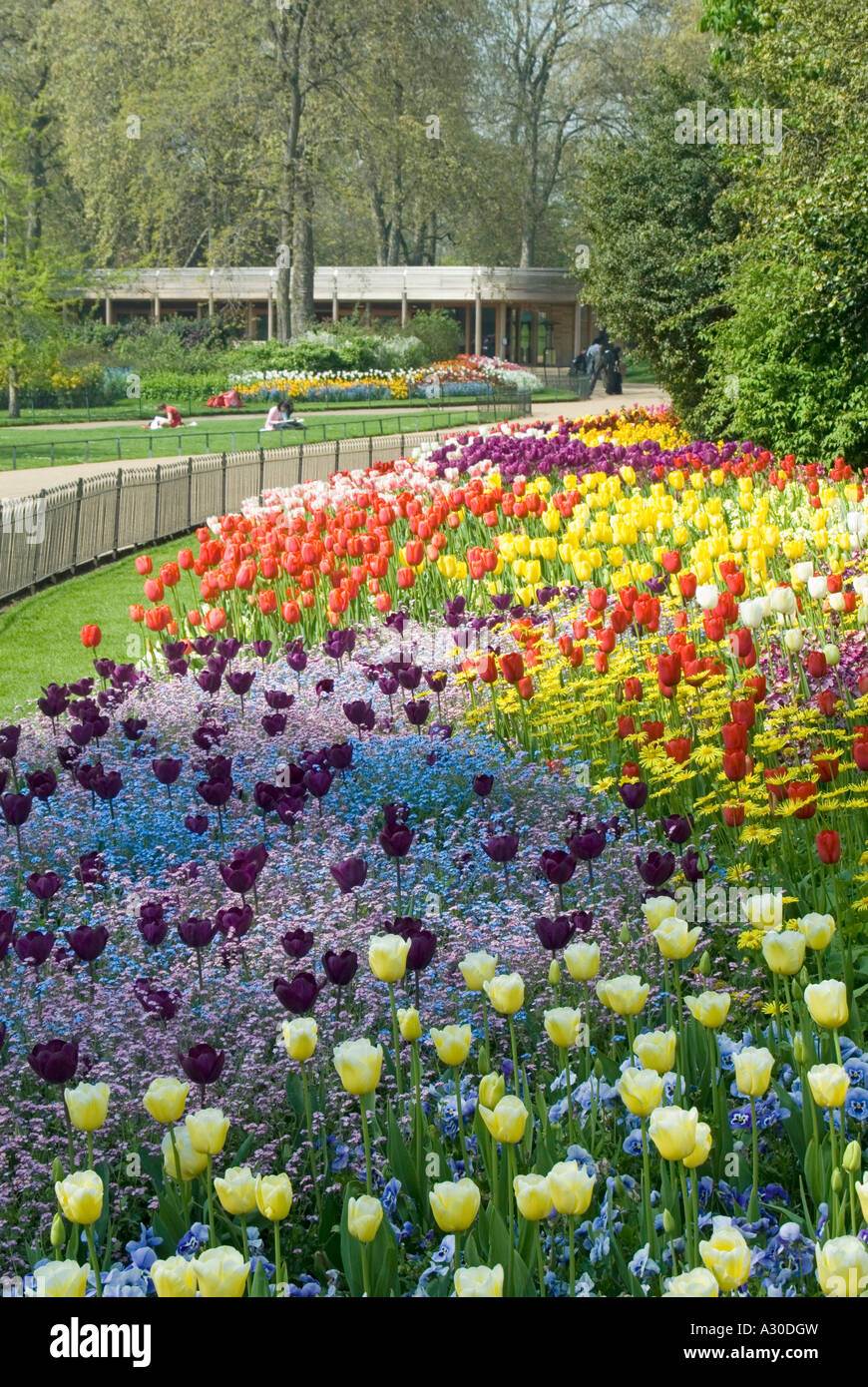 St James Park Frühling Anzeige der Blüte Leuchtmittel Stockfoto