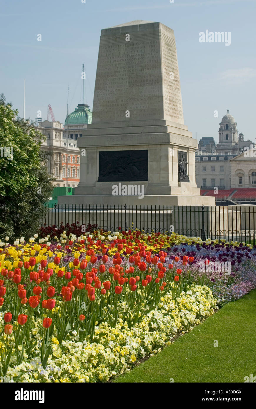 Frühlingsanzeige von Tulpen im St James Royal Park und Dem Guards Memorial on Horse Guards mit Whitehall-Gebäuden jenseits von Westminster London England UK Stockfoto