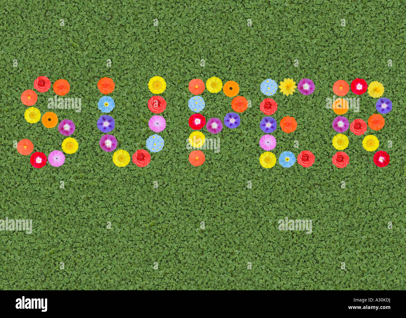 Super geschrieben mit Blumen Stockfoto