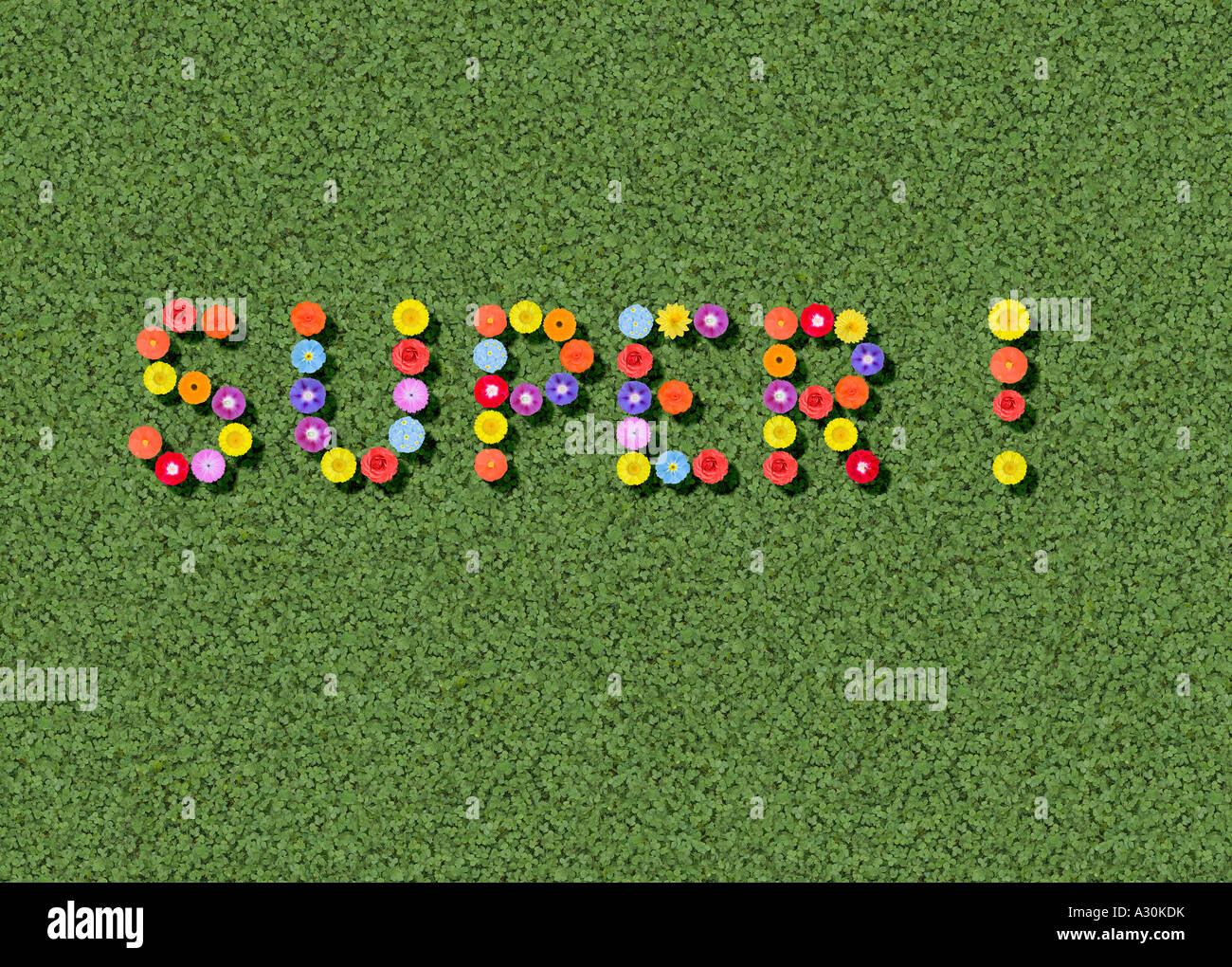 Super geschrieben mit Blumen Stockfoto