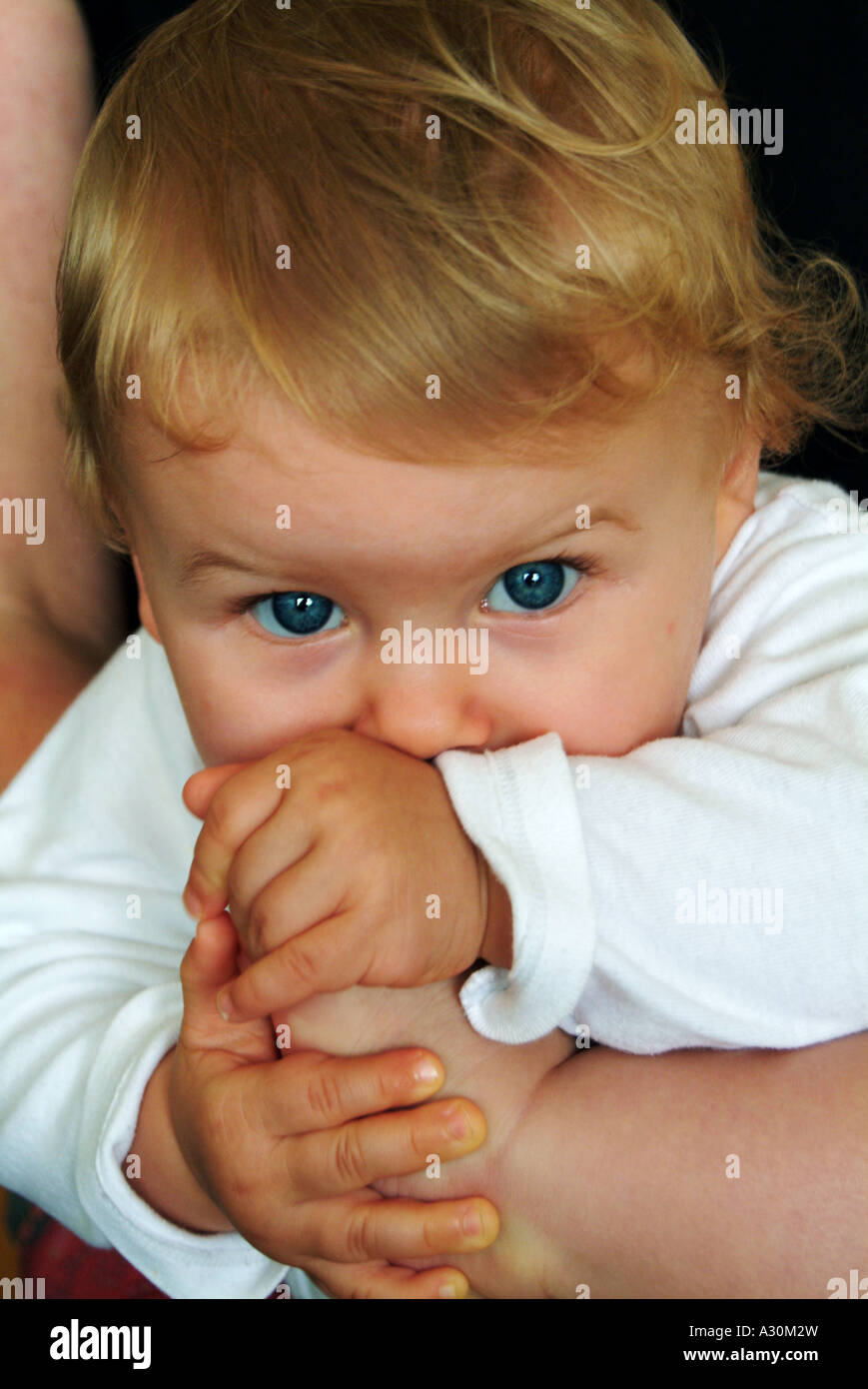 Zehen kauen Stockfoto, Bild: 10631520 Alamy Zehen kauen Stockfoto, Bild: 10631520 Alamy