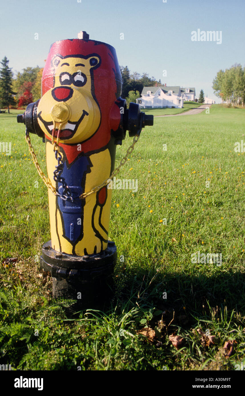 Ein Hydrant gemalt als eine Cartoon-Figur in neuen Carlisle in Quebec Stockfoto