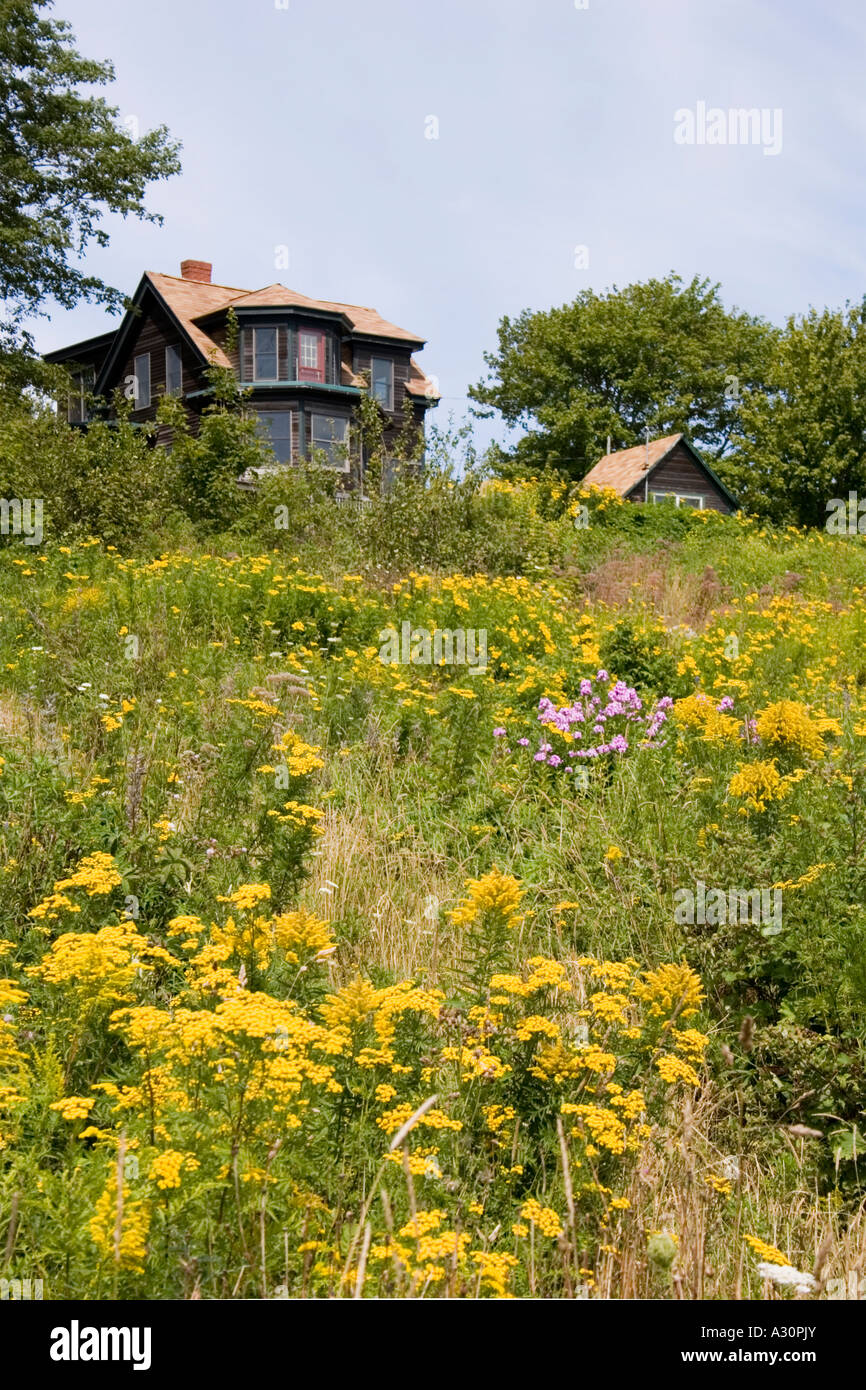Hilltop Home im Bereich der gelben Blüten Stockfoto
