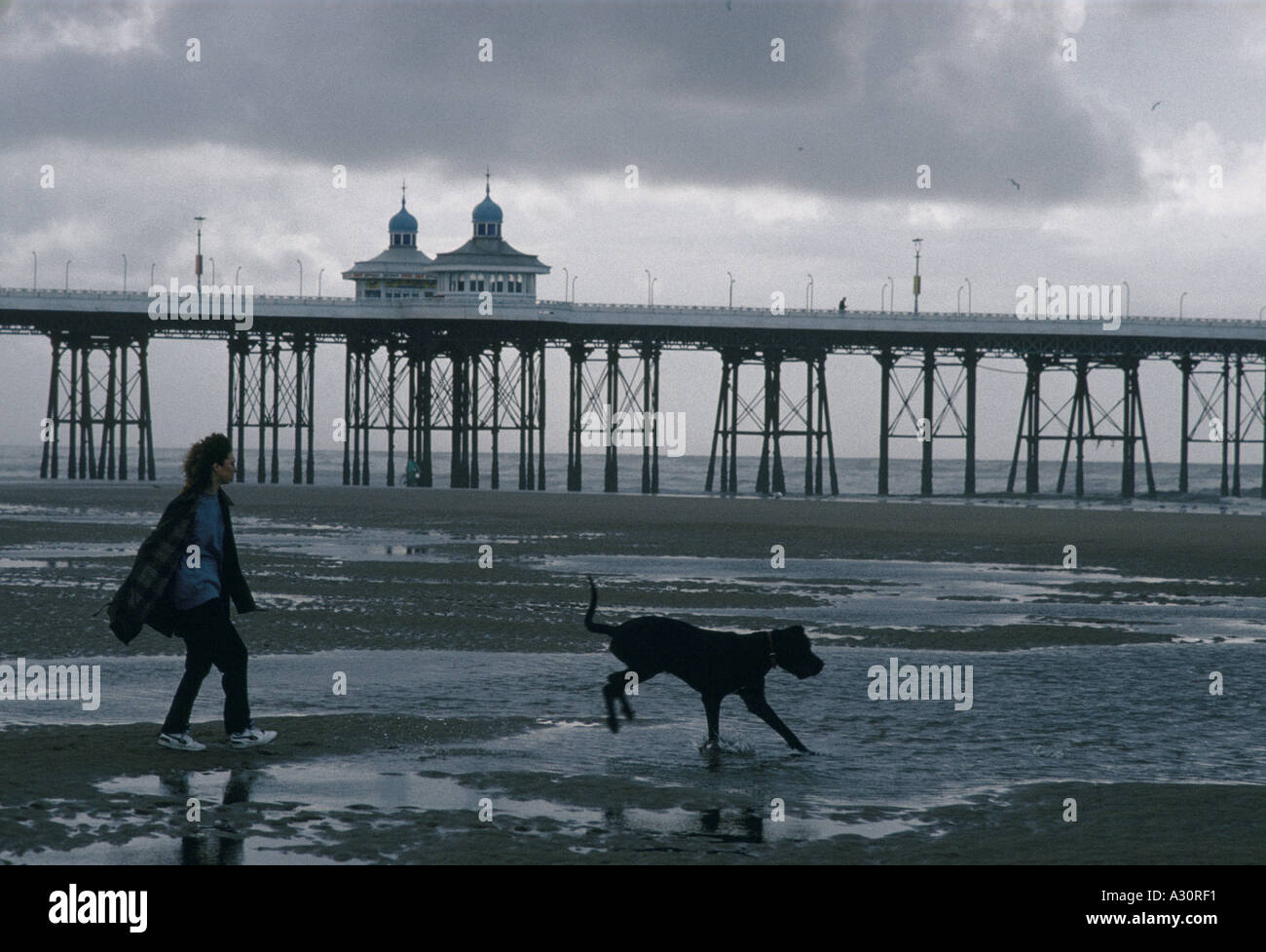 springenden schwarzen Hund und Flaniermeile Besitzer am Strand von blackpool Stockfoto