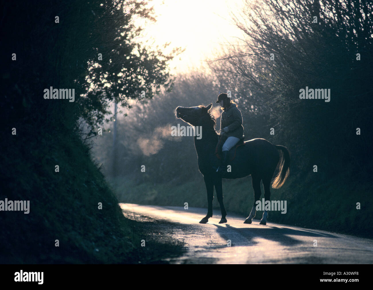 junge Person Reiten auf Landstraße Stockfoto