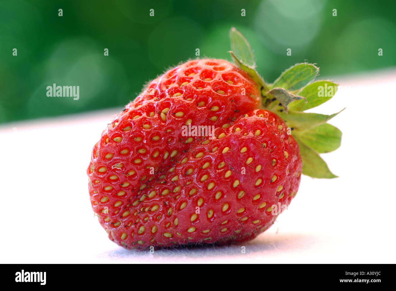 Rote Erdbeere auf weißen Tisch. Stockfoto