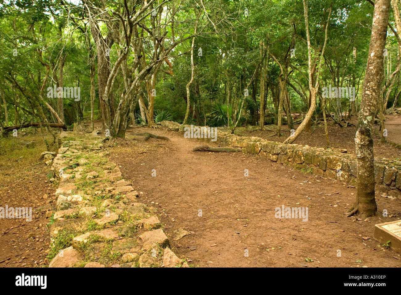 Sacbeob Sacbeob eine Maya-Straße in der zerstörten Stadt Chichen Itza in Mexiko ...