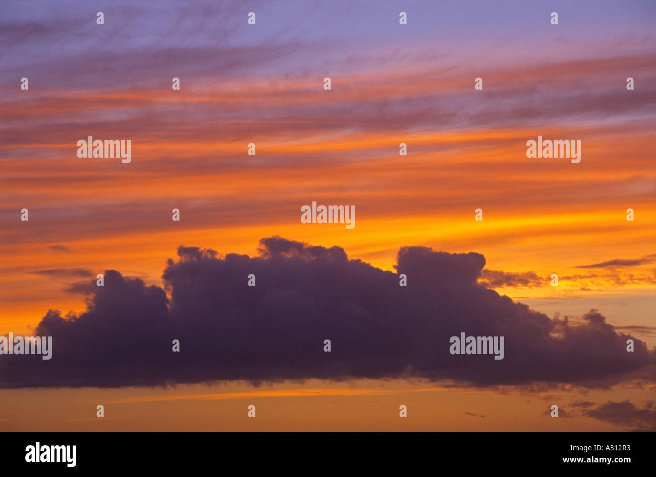 Dämmerung Skyscape über White Moor New Forest Hampshire England UK Stockfoto