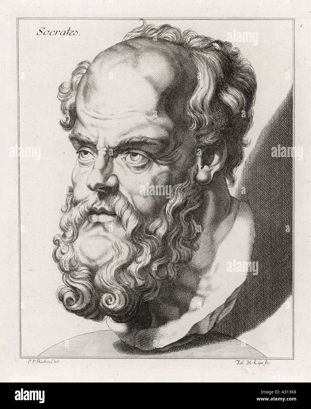 Socrates Rubens Stockfoto