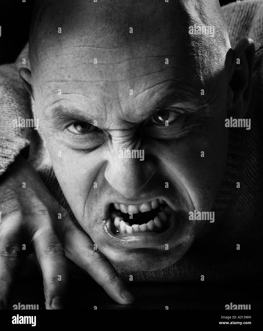 Studio Shoot von wütenden Glatze Stockfoto