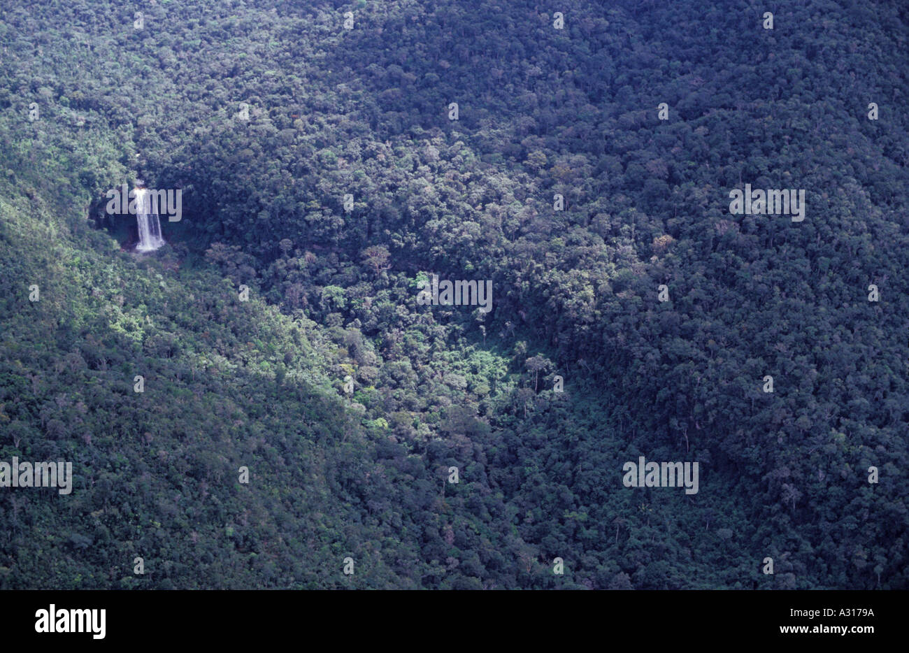 Aus der Vogelperspektive des Wasserfalls, der durch dichten Primärwald im Amazonas-Regenwald in Brasilien taucht, hebt eines der intaktesten Ökosysteme der Welt hervor. Stockfoto